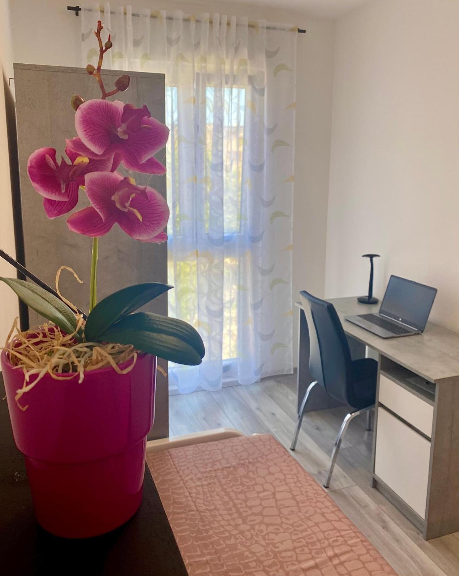 Ema Apartment Πούλα Εξωτερικό φωτογραφία